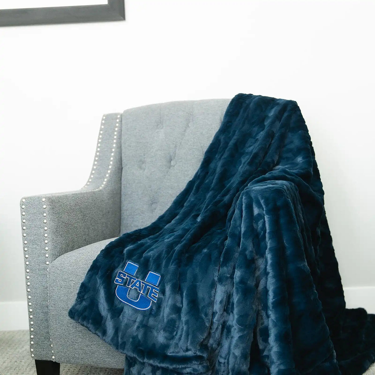 UNIVERSITY FAUX FUR BLANKETS