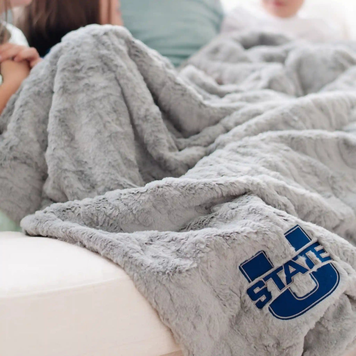 UNIVERSITY FAUX FUR BLANKETS